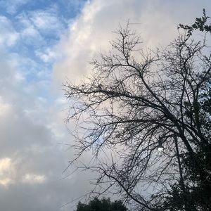 Meet your Posher, Jayson